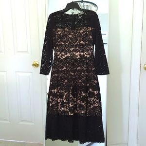 Oasis Lace Floral Dress